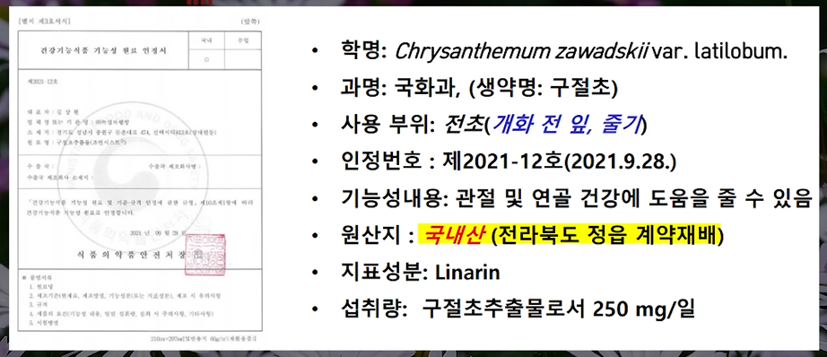 구절초 효능