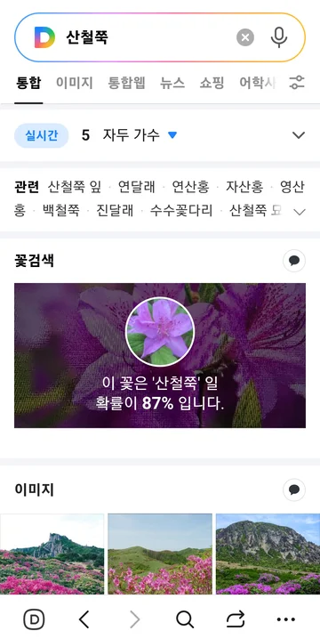 다음 꽃검색 어플