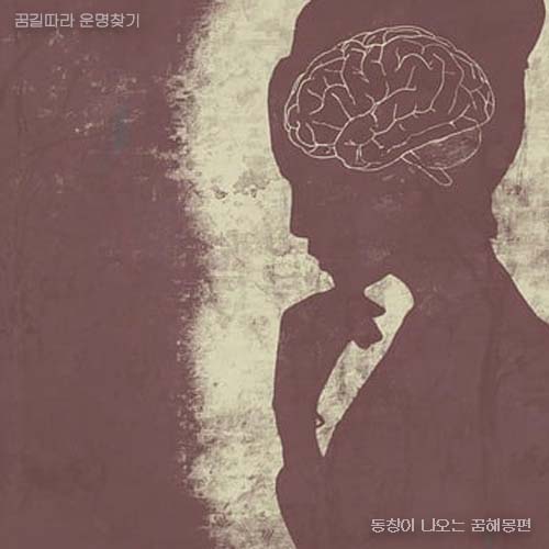 동창이 나오는꿈 친구가 나오는꿈