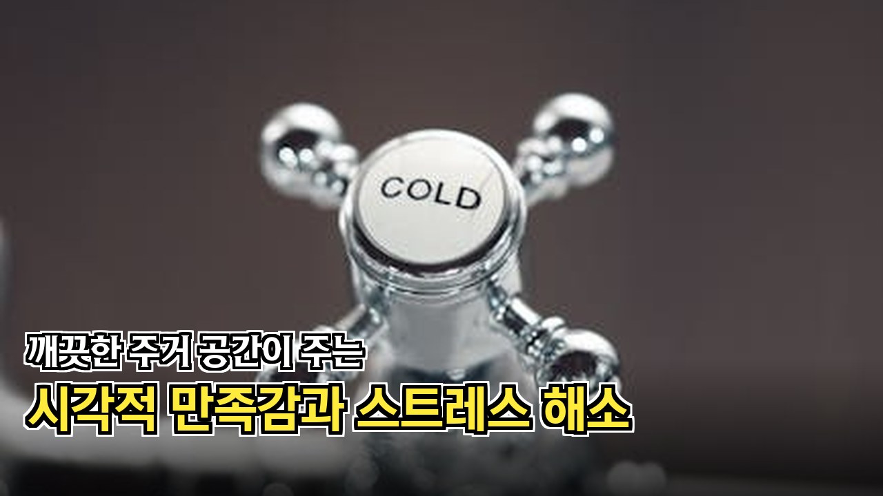 세정제 뿌리고 솔로 문지르는 장면