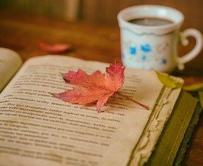 황태 콩나물국 만드는법