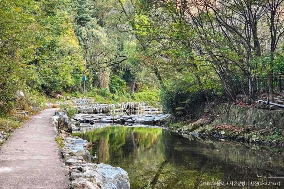 서울 계곡 추천 신림계곡
