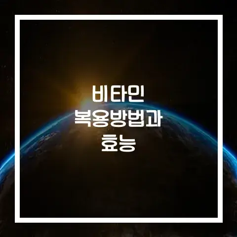 비타민 복용방법과 효능에 대해서