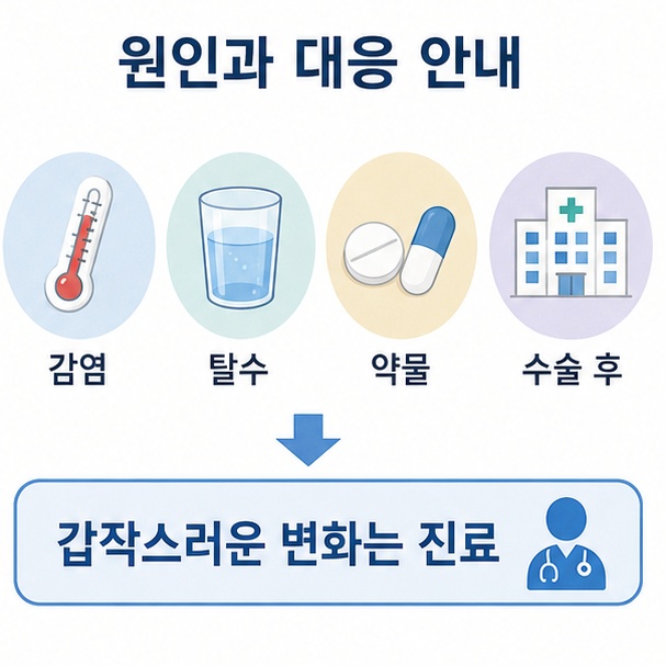 감염과 탈수, 약물, 수술 등이 섬망 원인이 될 수 있고 갑작스러운 의식 변화는 진료가 필요함을 안내한 이미지