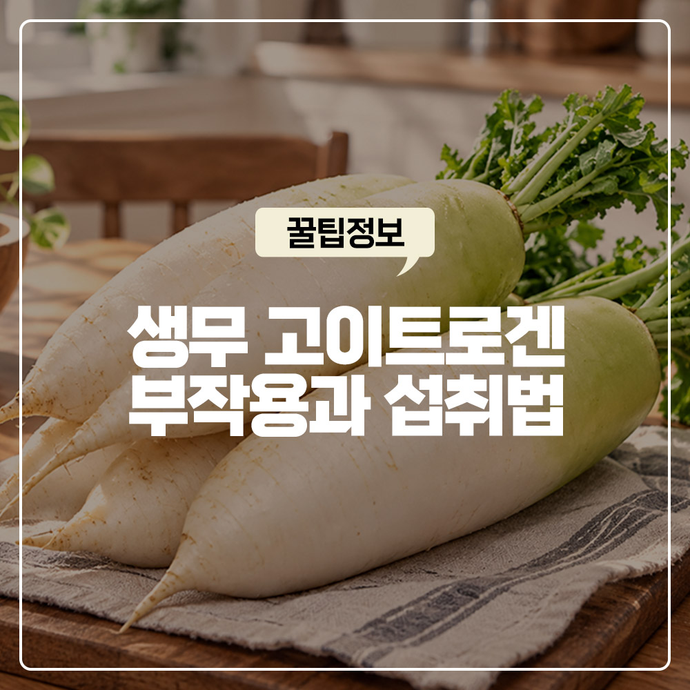 갑상선 질환자에게 생무가 치명적인 이유 고이트로겐 부작용과 안전한 섭취법