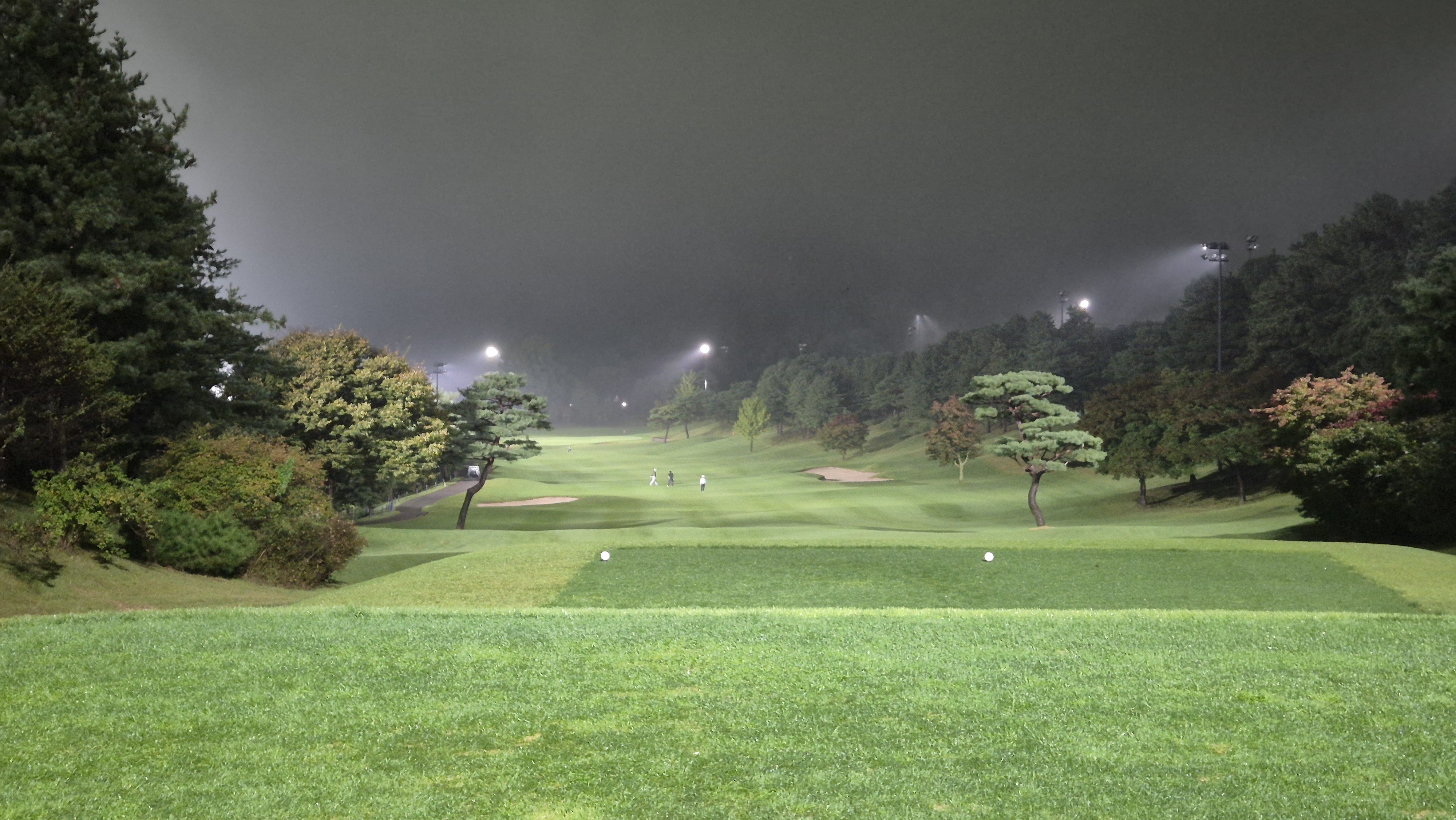 블루원용인cc 중코스