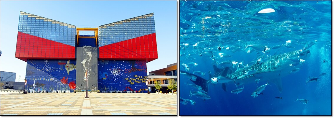 오사카 관관명소