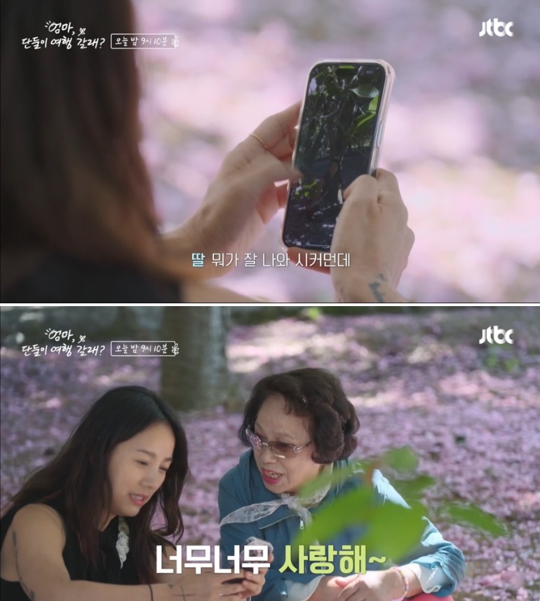 이효리