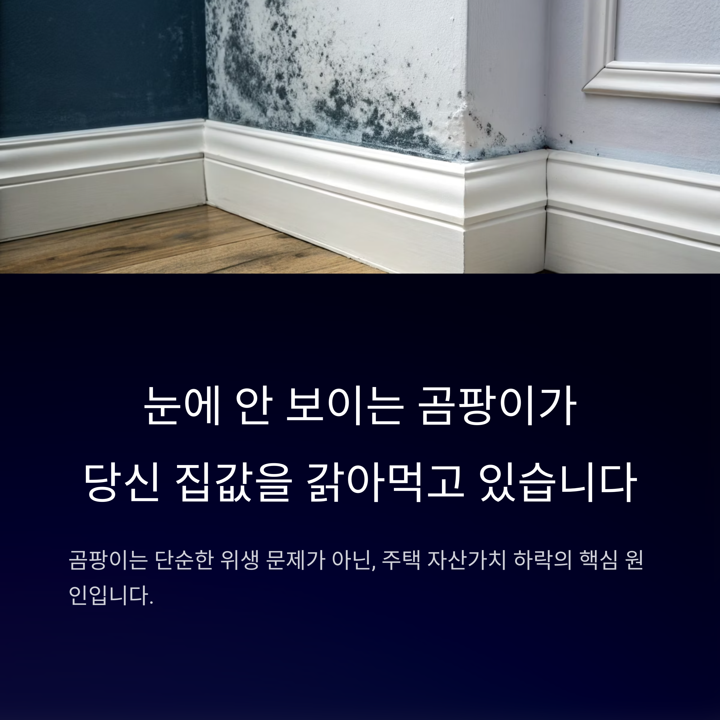 곰팡이 방치하면