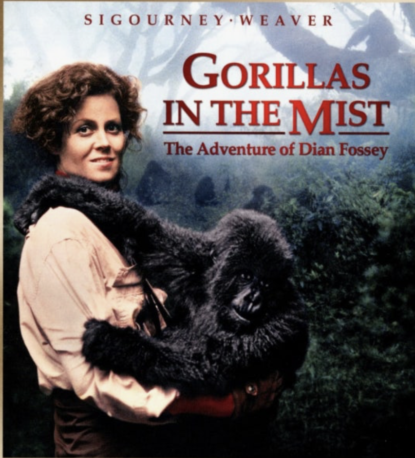 실화를 바탕으로 환경과 자연 보호를 다룬 감동 영화 Top10에 대한 사진