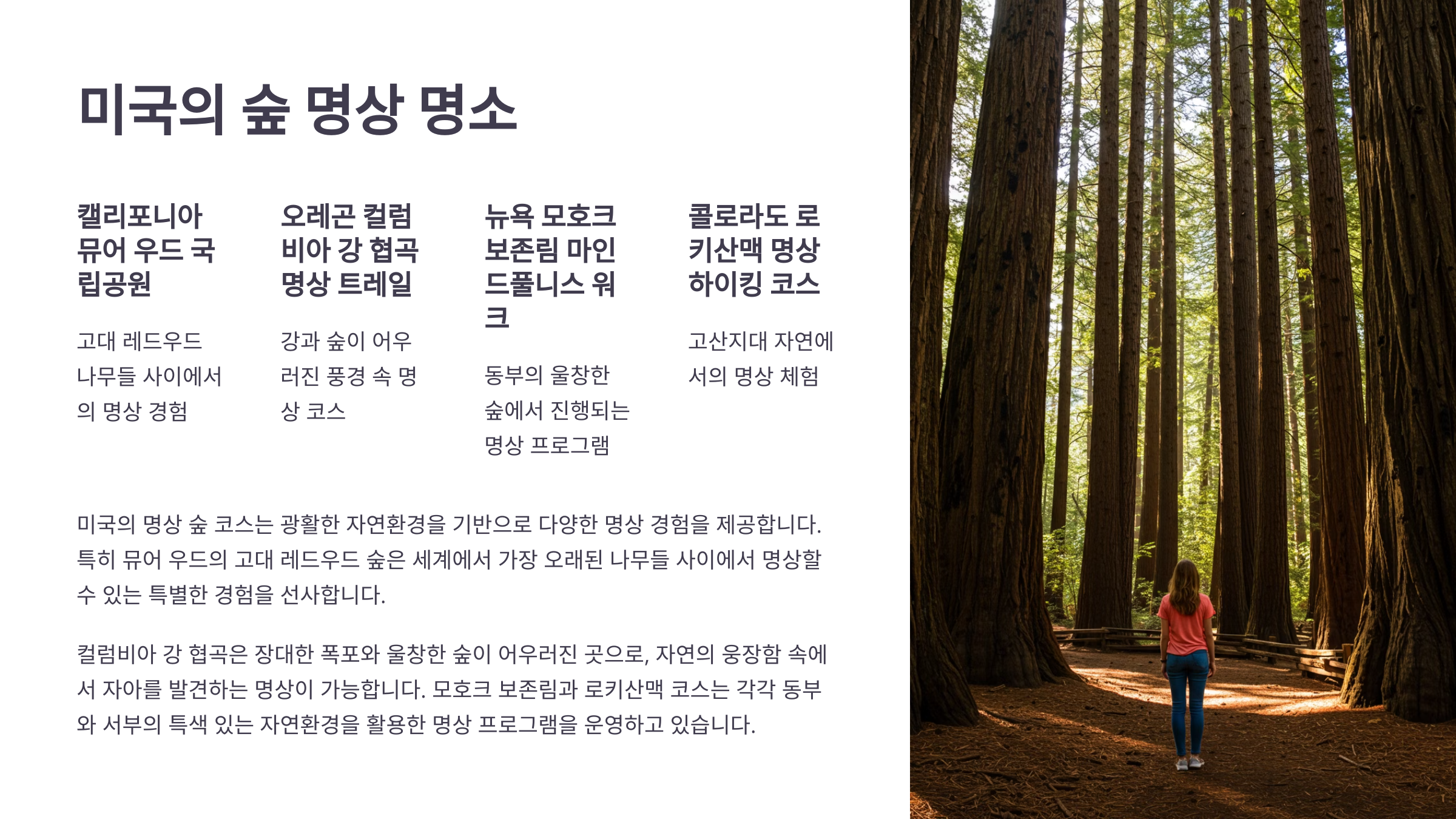 🌿 미국의 숲 명상 명소