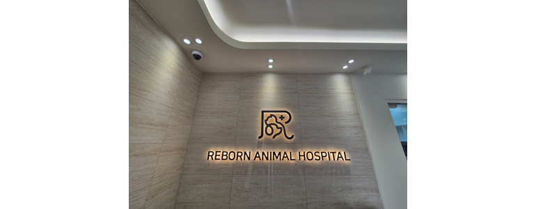 광주 서구 동물병원