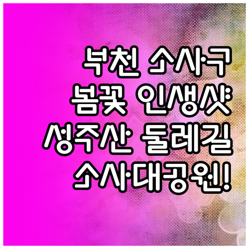 부천 소사구 봄 나들이 장소 추천 성..