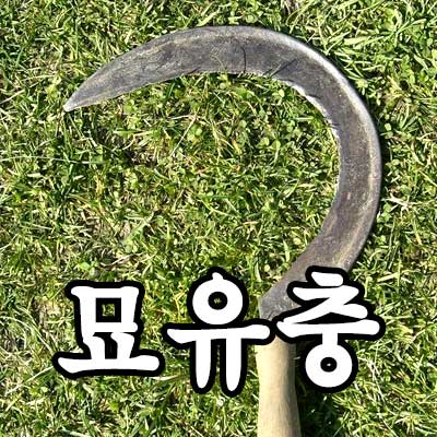 묘유충 썸네일