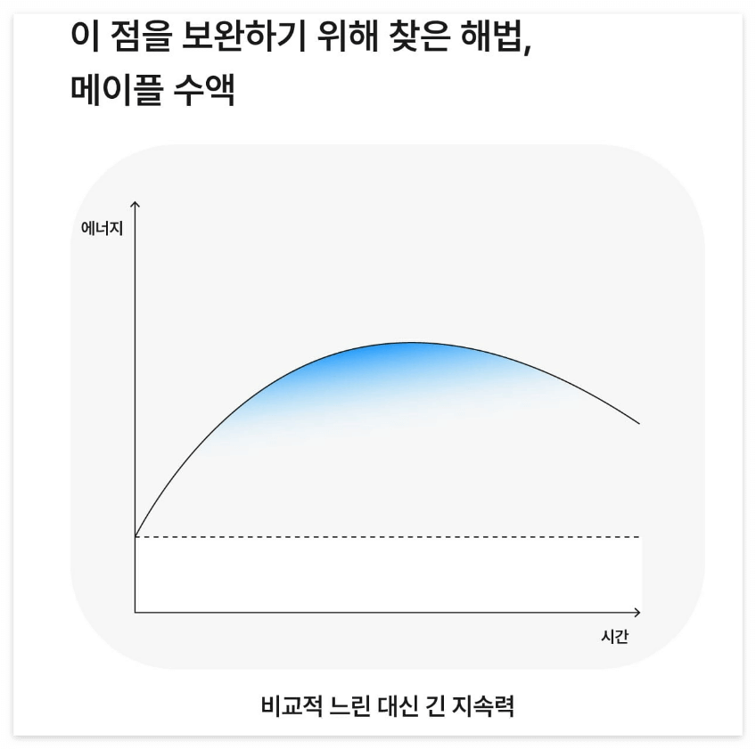 메이플 수액