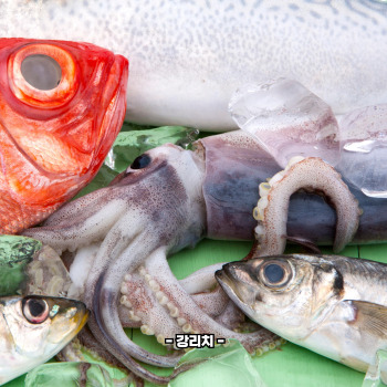 오징어 삶는 방법