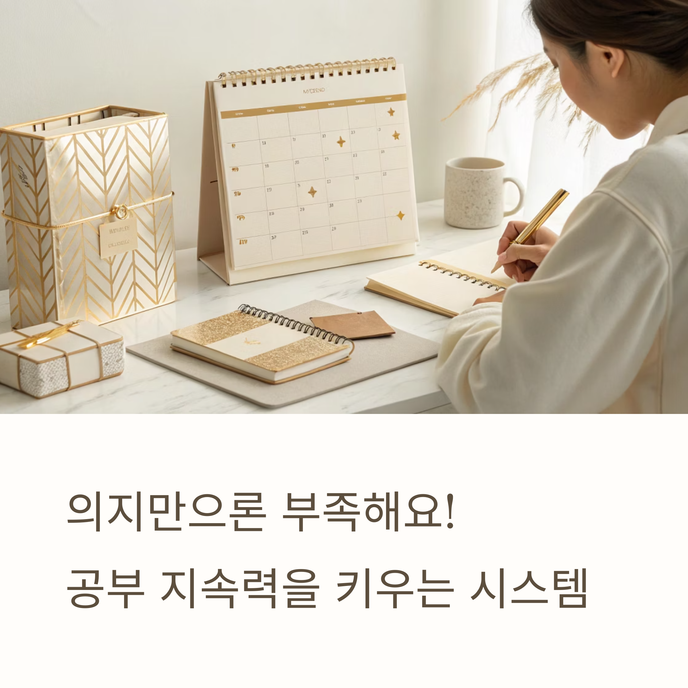 매일 공부 습관 만드는 시스템 비법공개