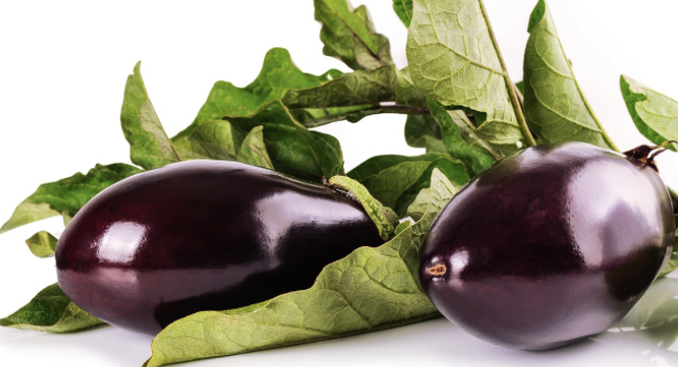 세계 각국의 가지 요리 탐구