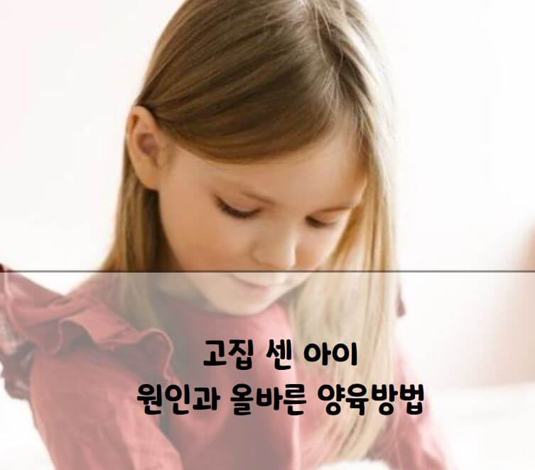 고집센 아이