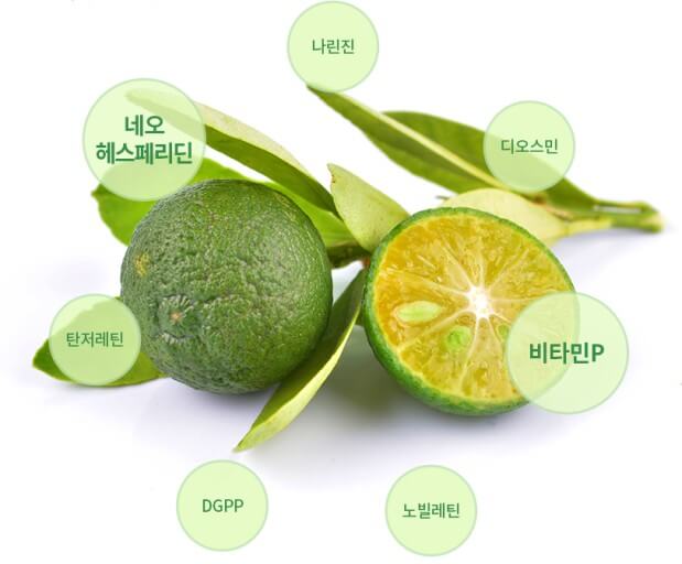 깔라만시 효능 9가지와 부작용 및 깔라만시 원액 먹는법