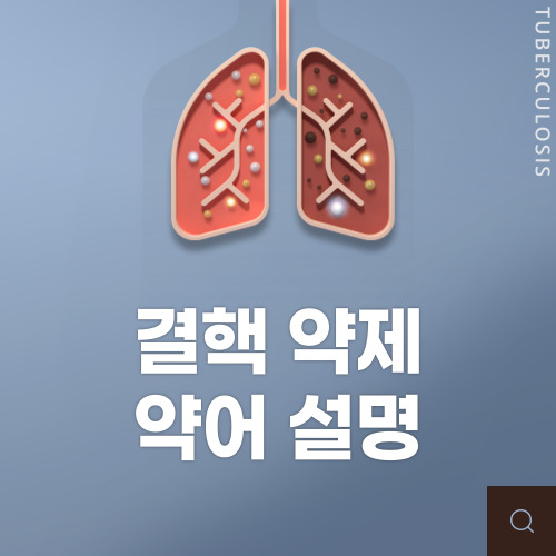 결핵 약제 약어 설명