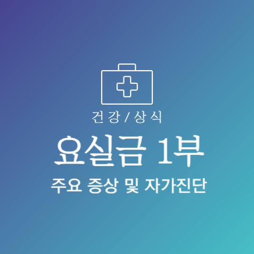 요실금 증상 총정리 초기증상 유형 진단