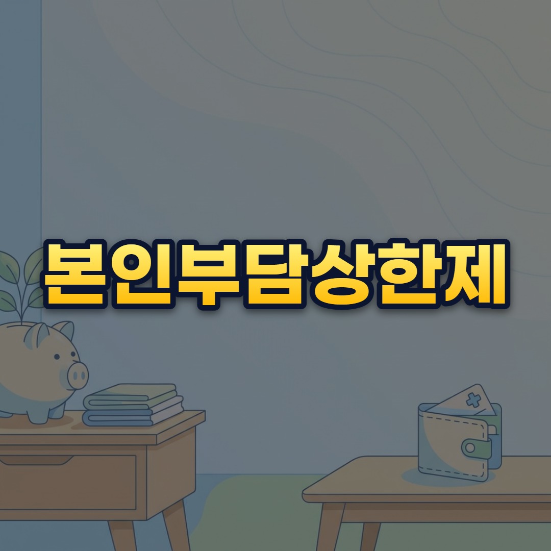 본인부담상한제