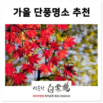 가을 단풍 명소 대중교통 걷기 코스 무료주차 팁_7