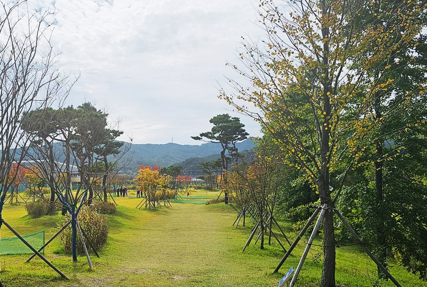 전라북도 고창 스포츠타운 파크골프장