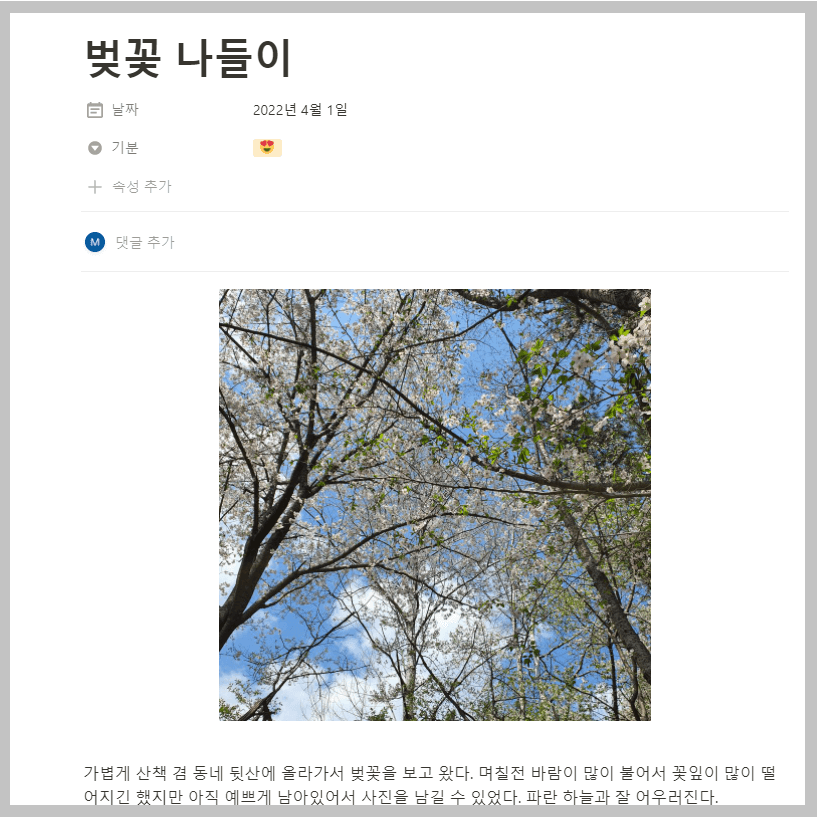 노션사진일기예시