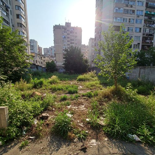 개발되지 않고 방치된 토지