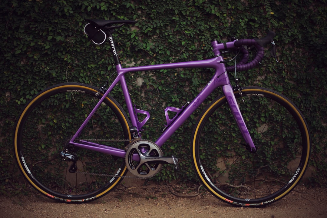 Cycle
