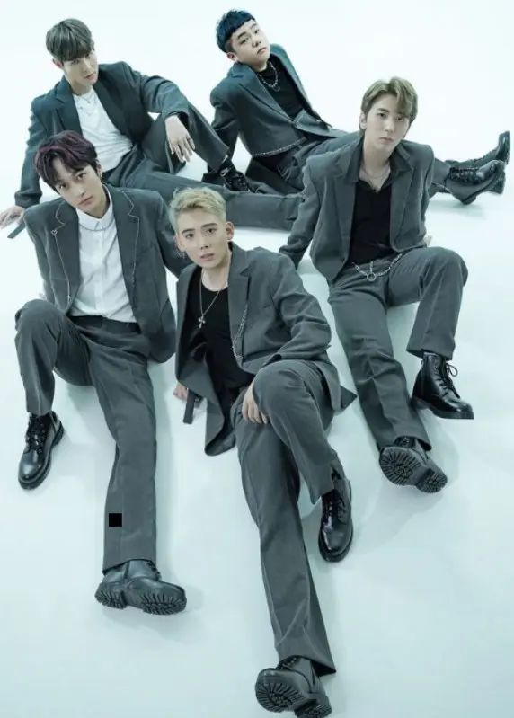 코쿤