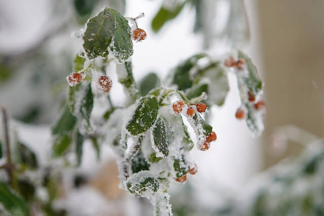 한라산 탐방 예약