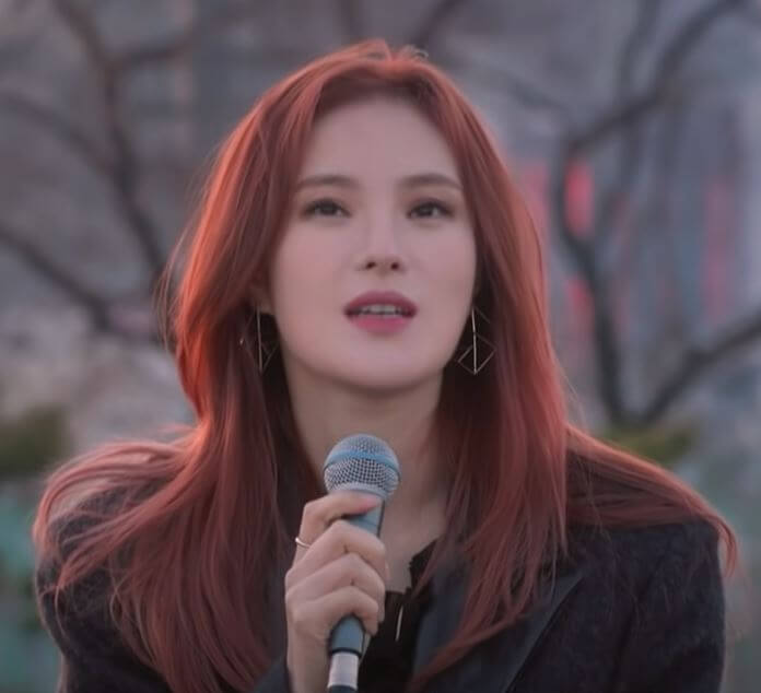 가수-거미