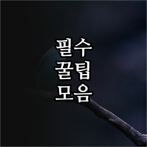 2025 김제시 전입 이사비 지원 총..