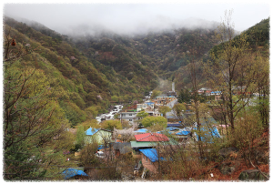 의신베어빌리지