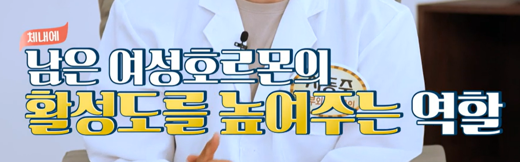 갱년기 유산균 YT1 효능