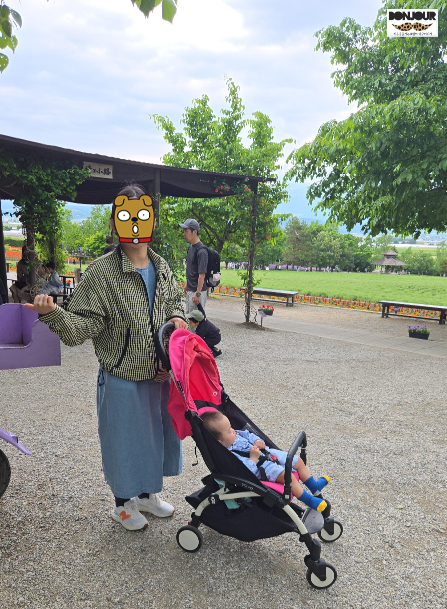 유모차로 팜토미타를 거닐고 있는 4개월 임산부