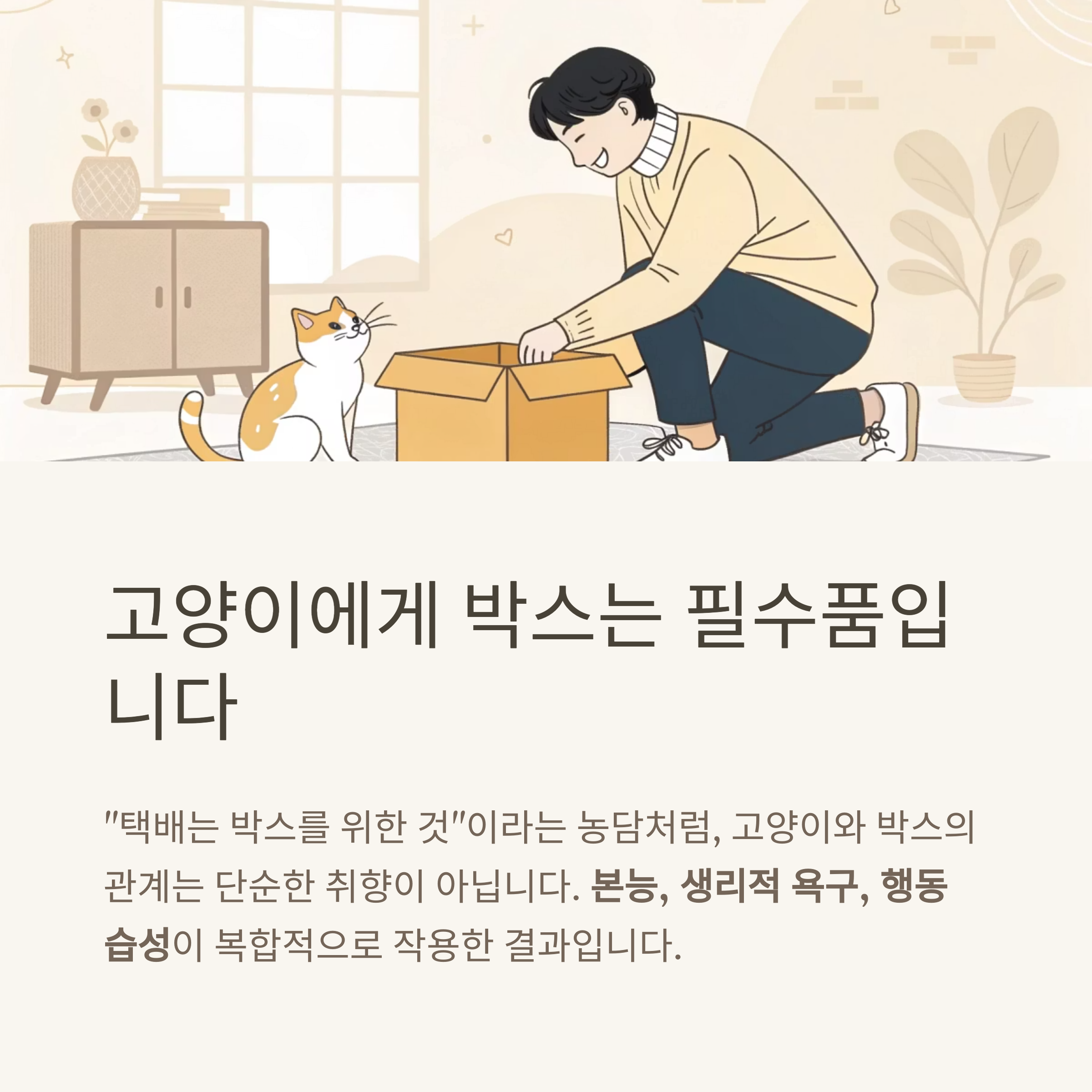 고양이에게 박스는 필수품입니다