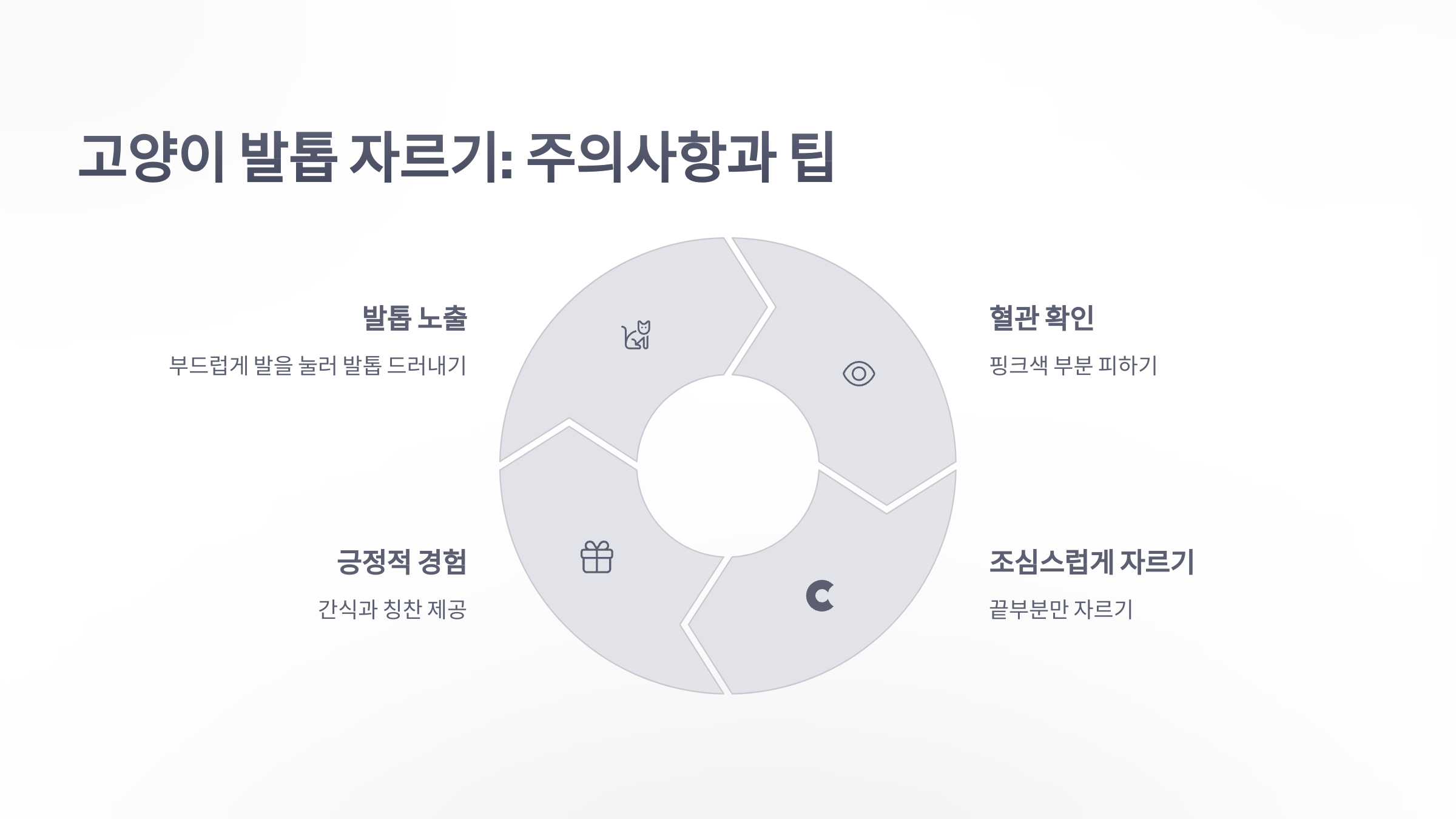 참조-반려동물,-발톱-자를때-유의사항-4