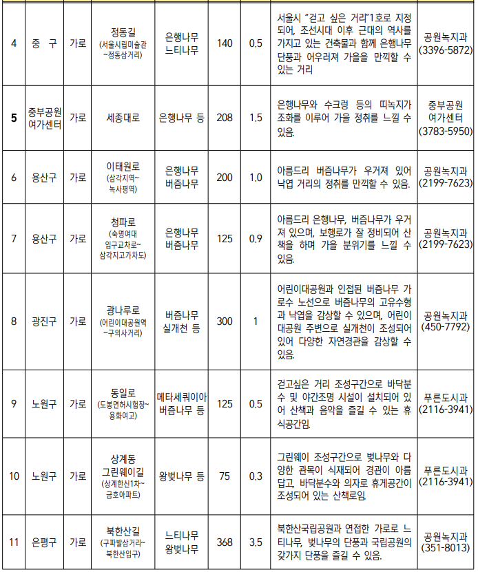 서울 단풍길 99선 소개