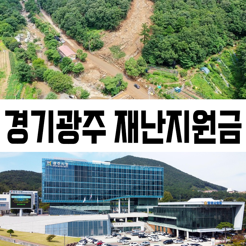 경기광주 재난지원금