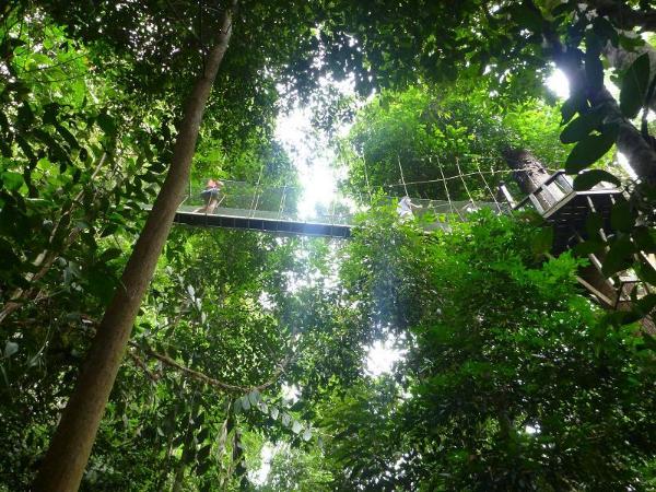 캐노피 워크웨이