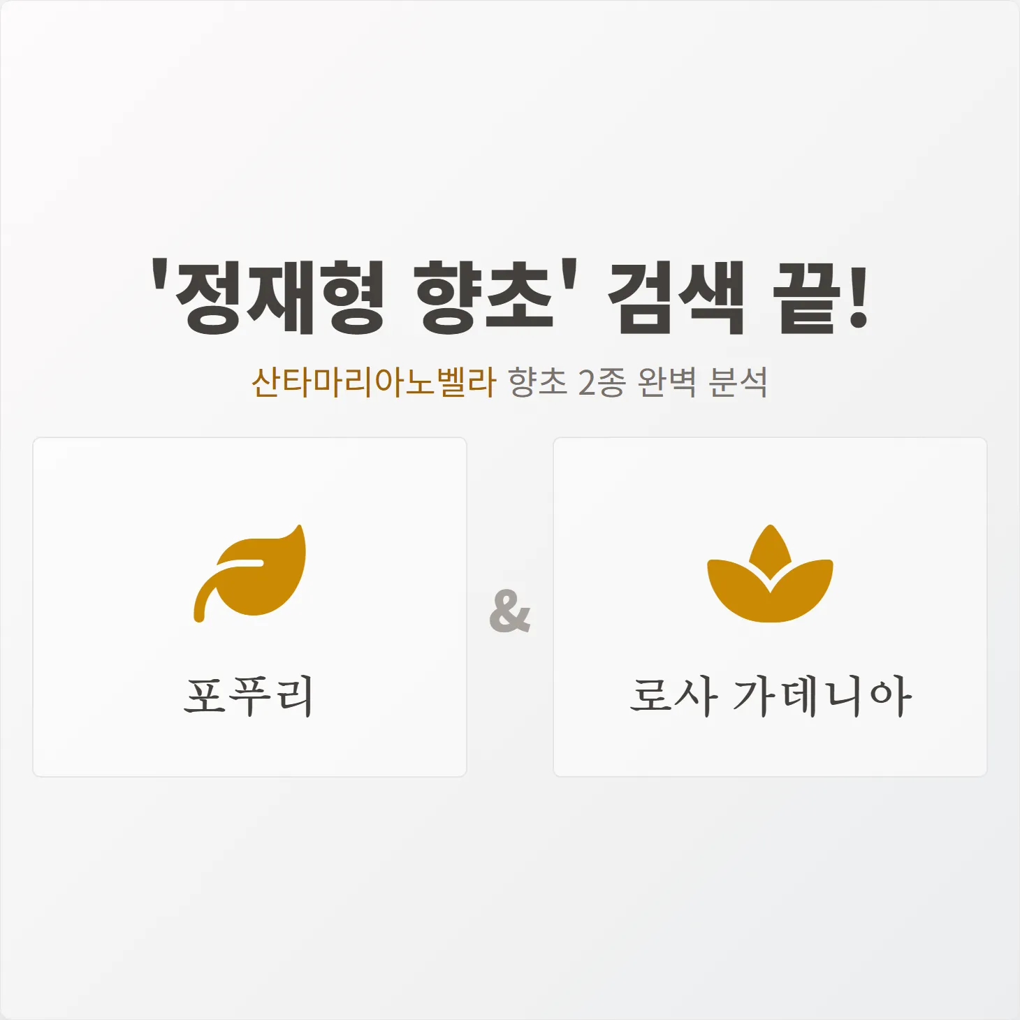 '정재형 향초' 검색 끝! 산타마리아노벨라 향초 2종 완벽 분석