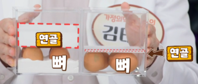 콘드로이친