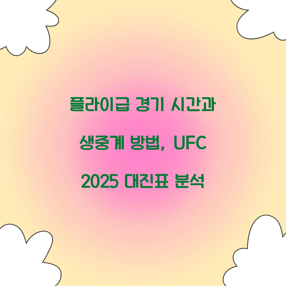 플라이급 경기 시간