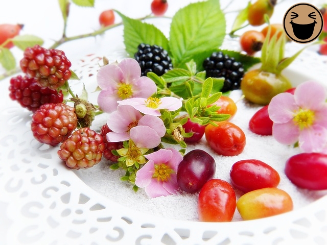 당뇨에 좋은 식이섬유