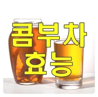콤부차 효능_11