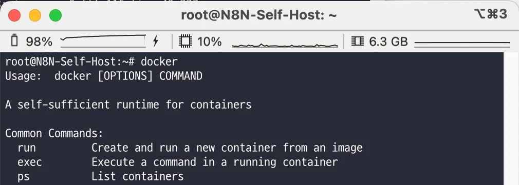 도커 명령어 실행 결과 화면